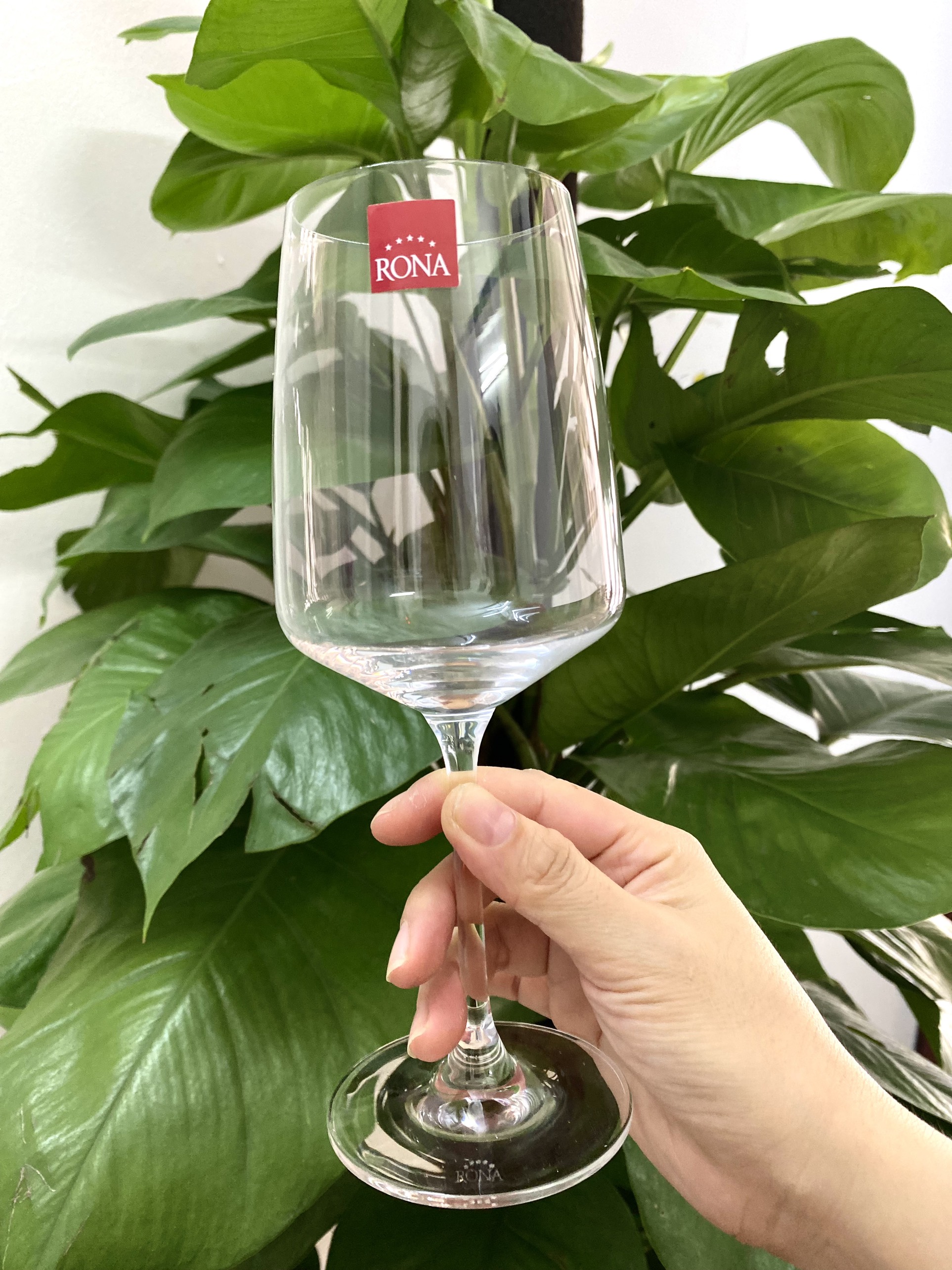 Bộ 6 ly rượu vang pha lê Tiệp Rona 400ml