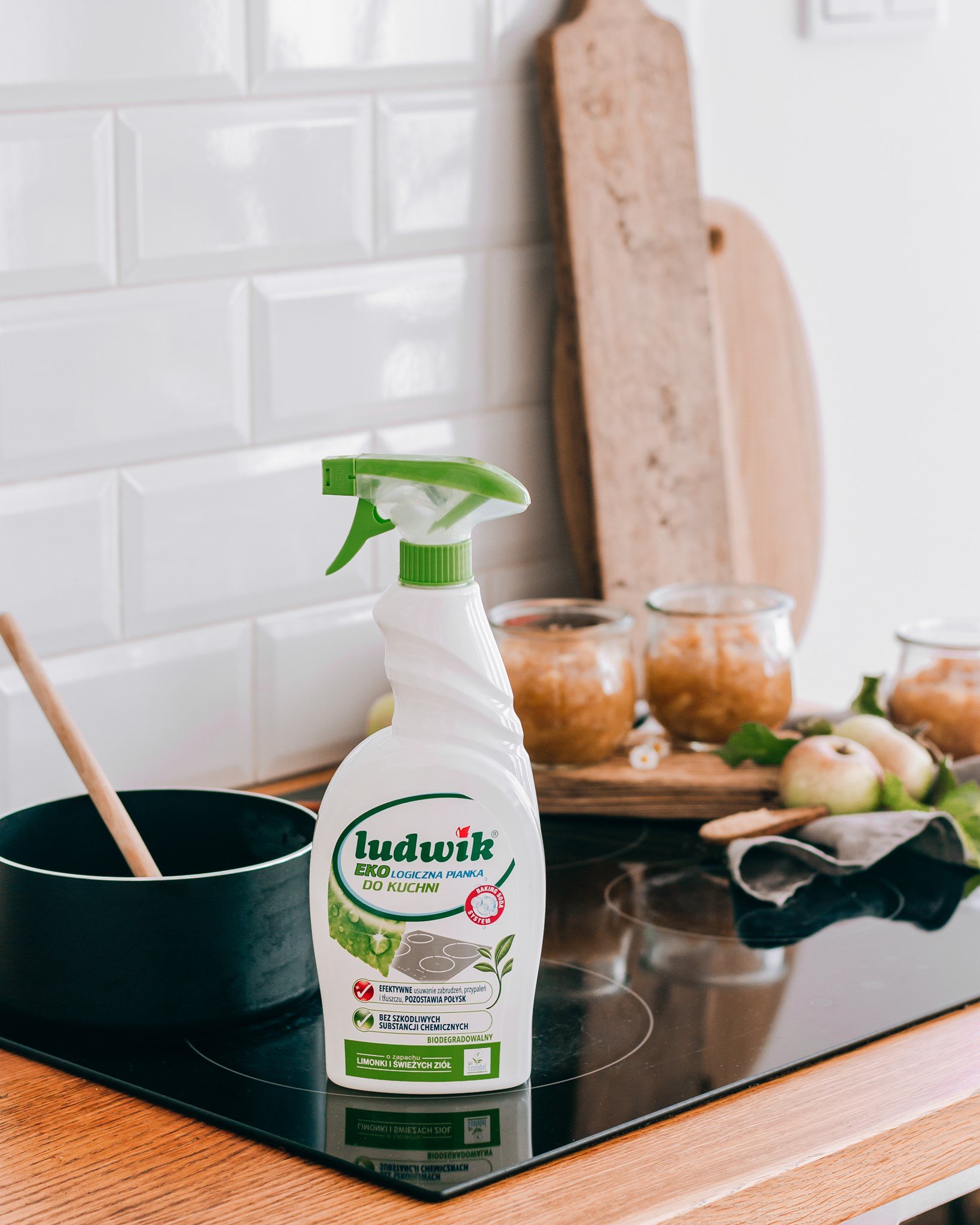 Dung dịch vệ sinh nhà bếp Ludwik eco-loại 750 ml