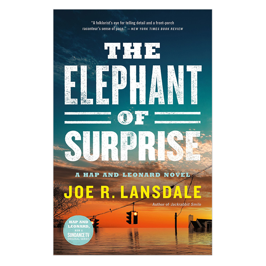 Hap Collins and Leonard Pine Series #12: The Elephant of Surprise