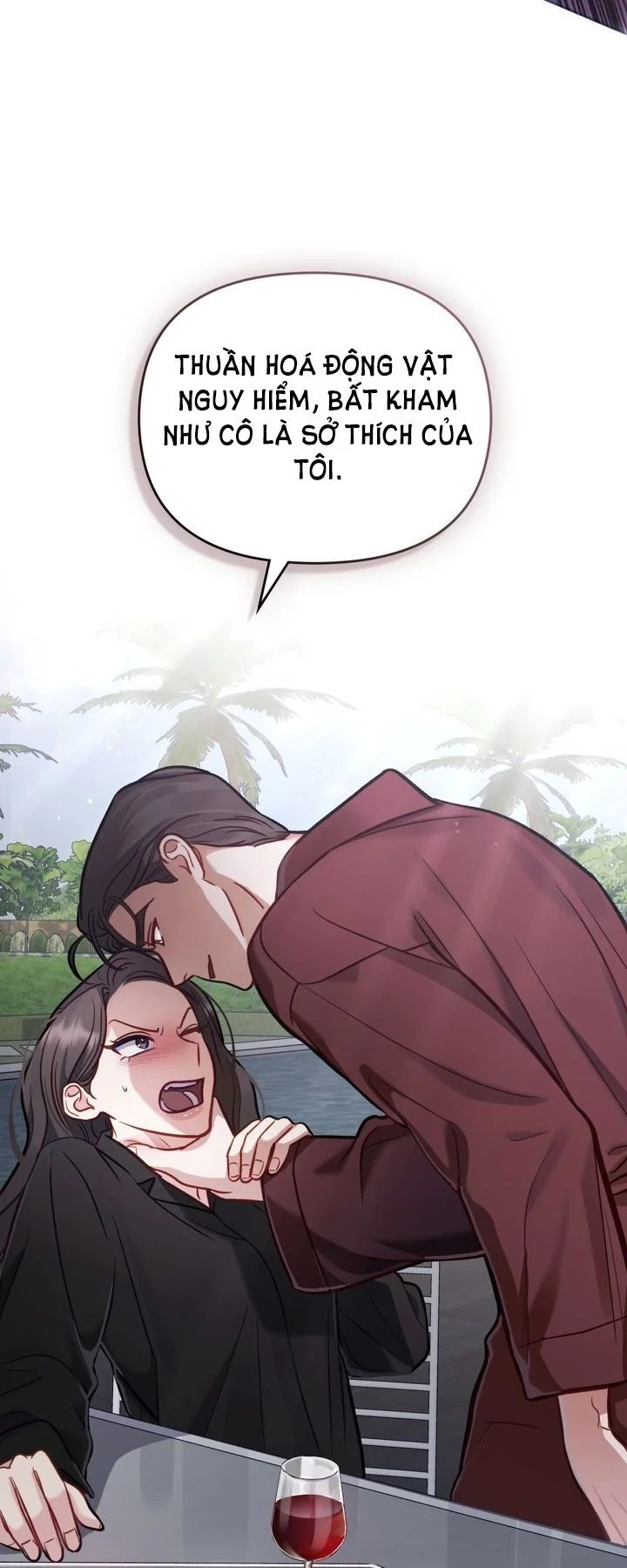 kẻ nghiệp dư chapter 12 9