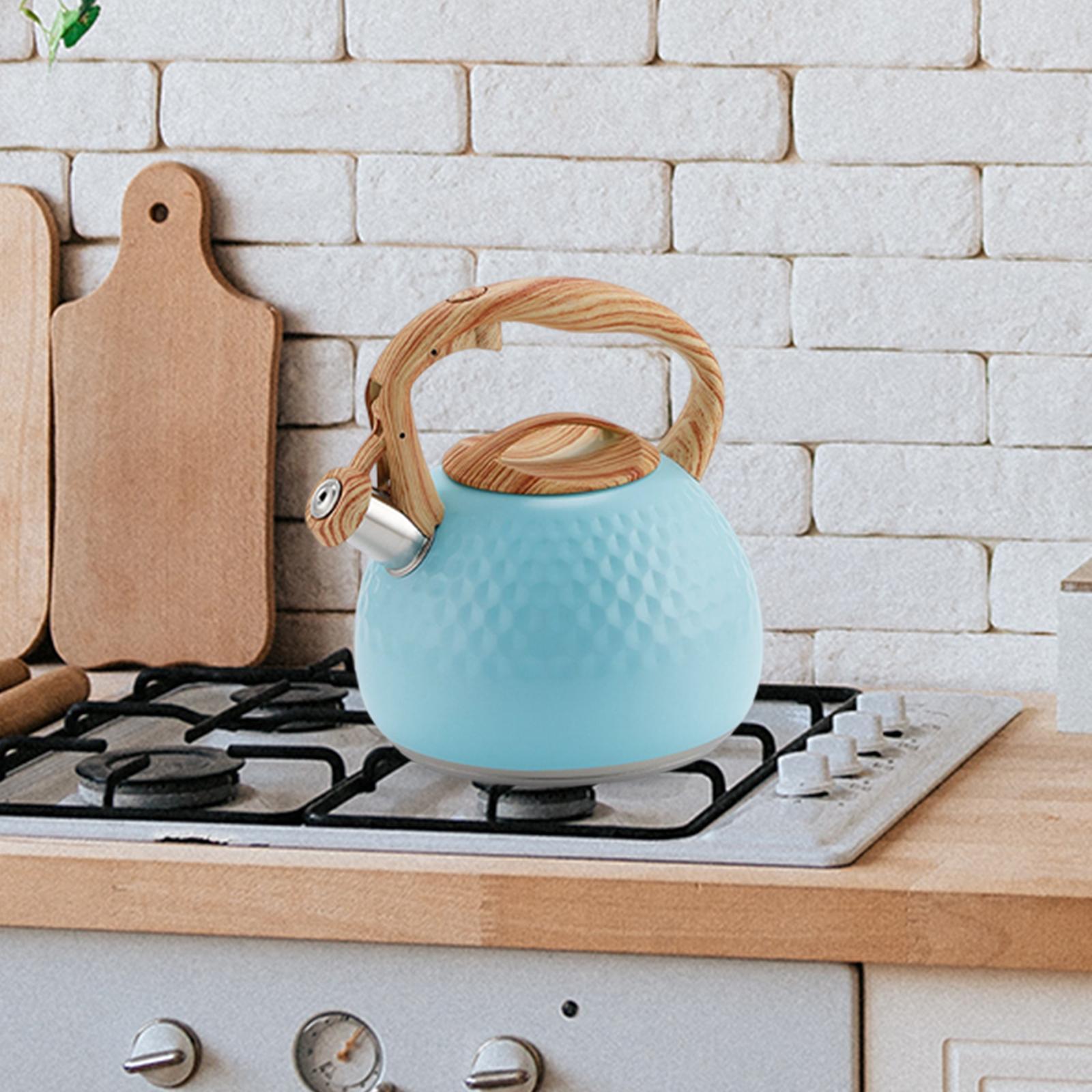 Stainless Steel Whistle Kettle 3L Teapot for Induction Cooker Tea Room Home
