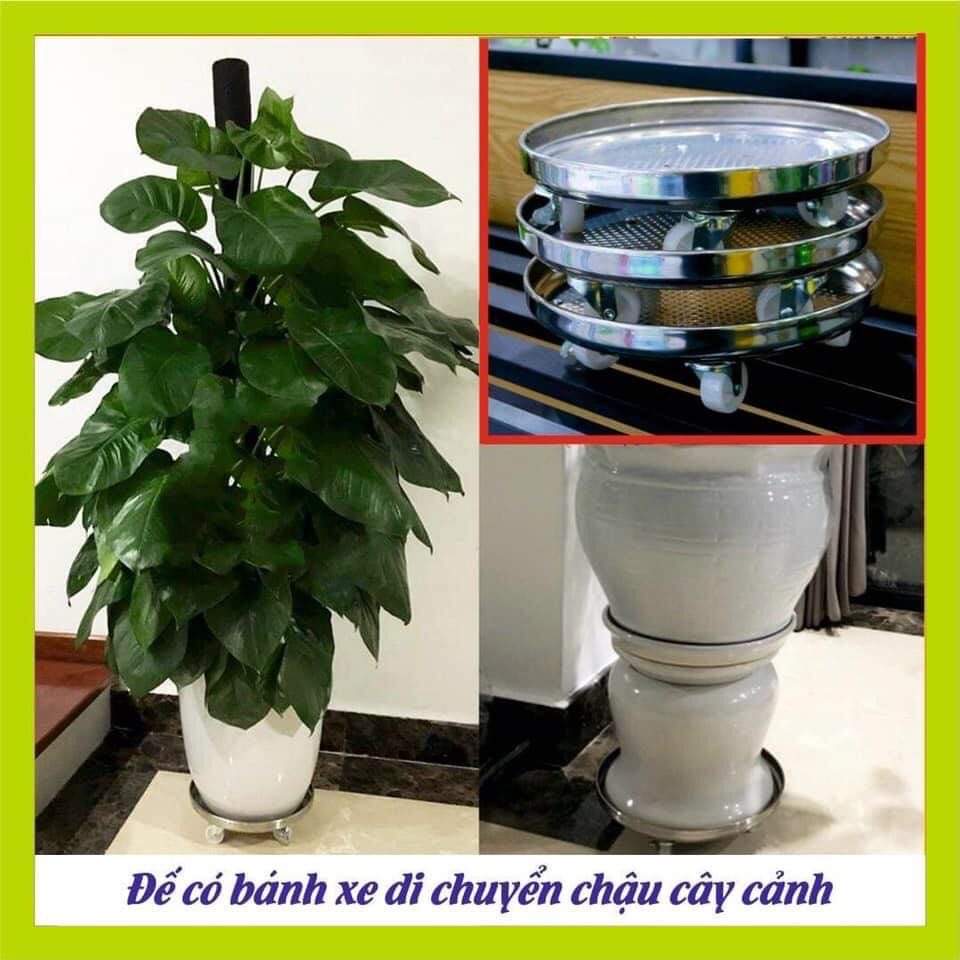 Đế chậu có bánh xe di chuyển