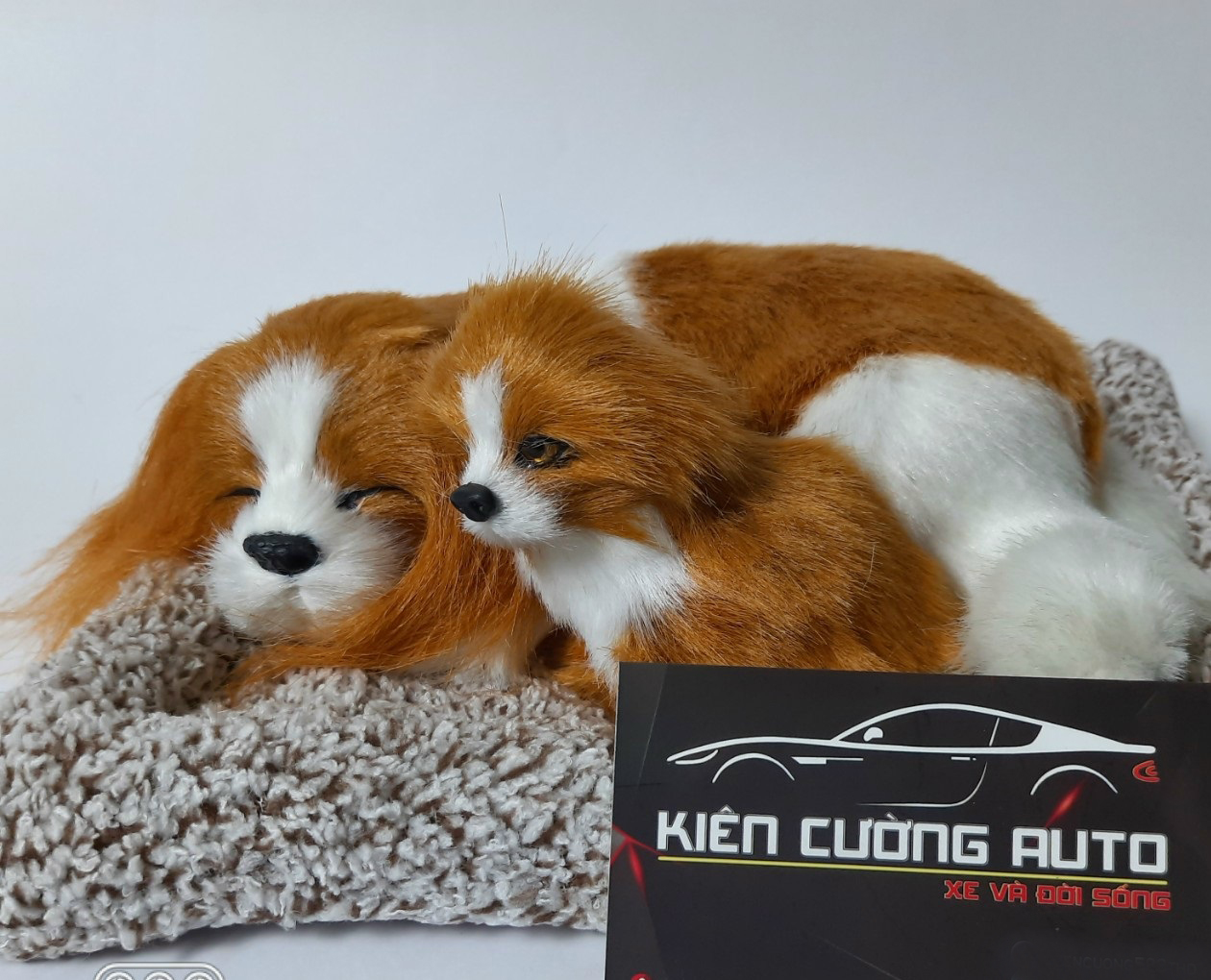 Thú cưng than hoạt tính khử mùi hôi đặt Taplo ô tô hoặc bàn làm việc - Chọn mẫu