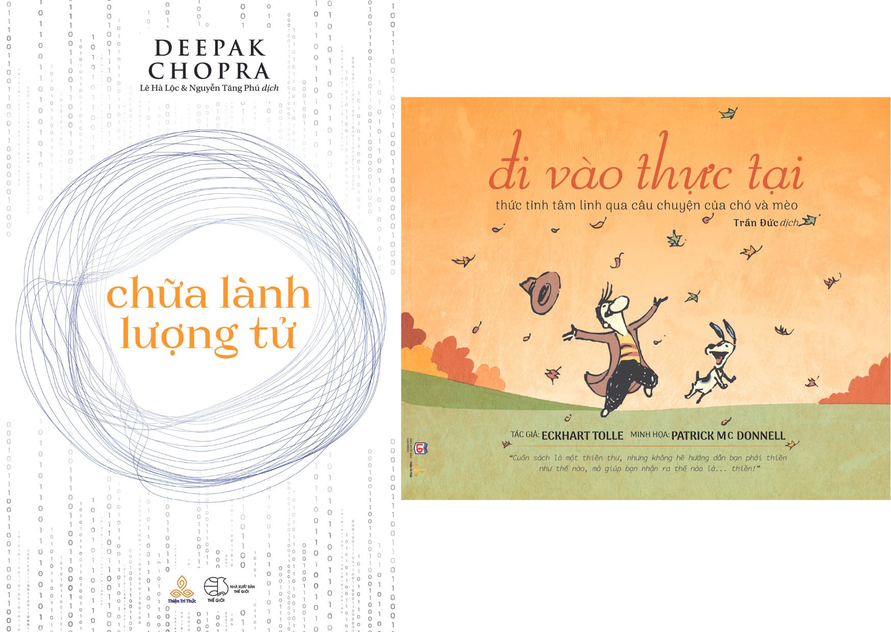 Combo Sách Chữa Lành Lượng Tử và Đi Vào Thực Tại
