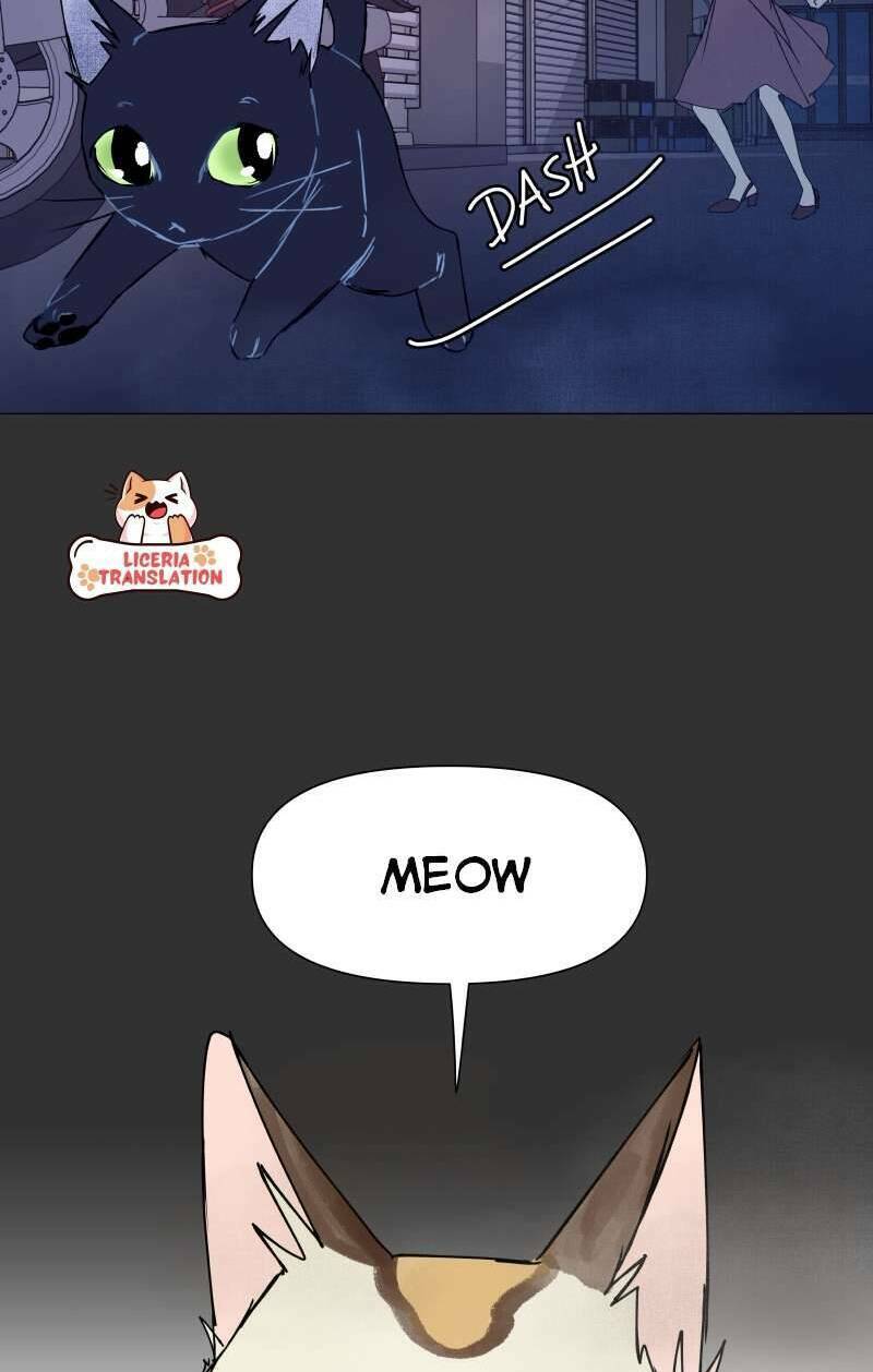 honey lemon chapter 2 26