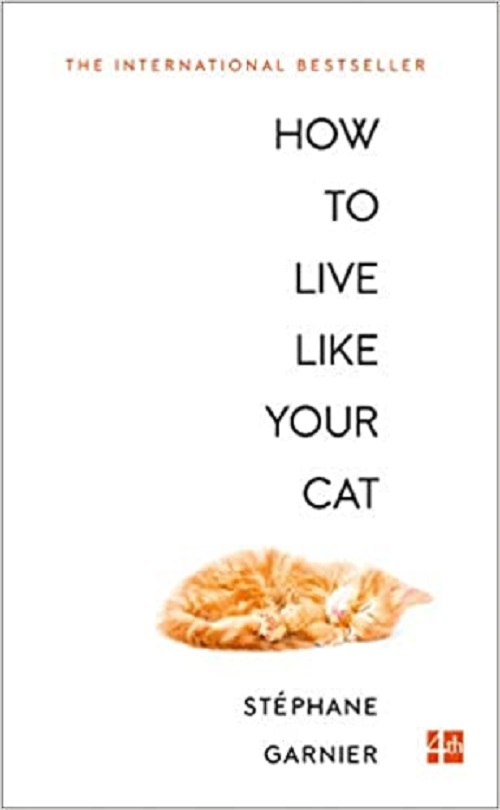 How To Live Like Your Cat