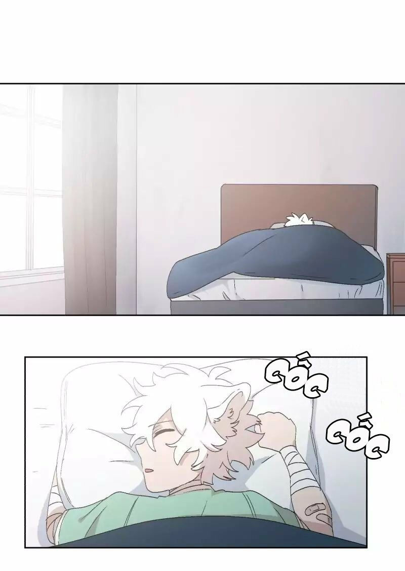 lumine - cội nguồn ánh sáng chapter 30 3