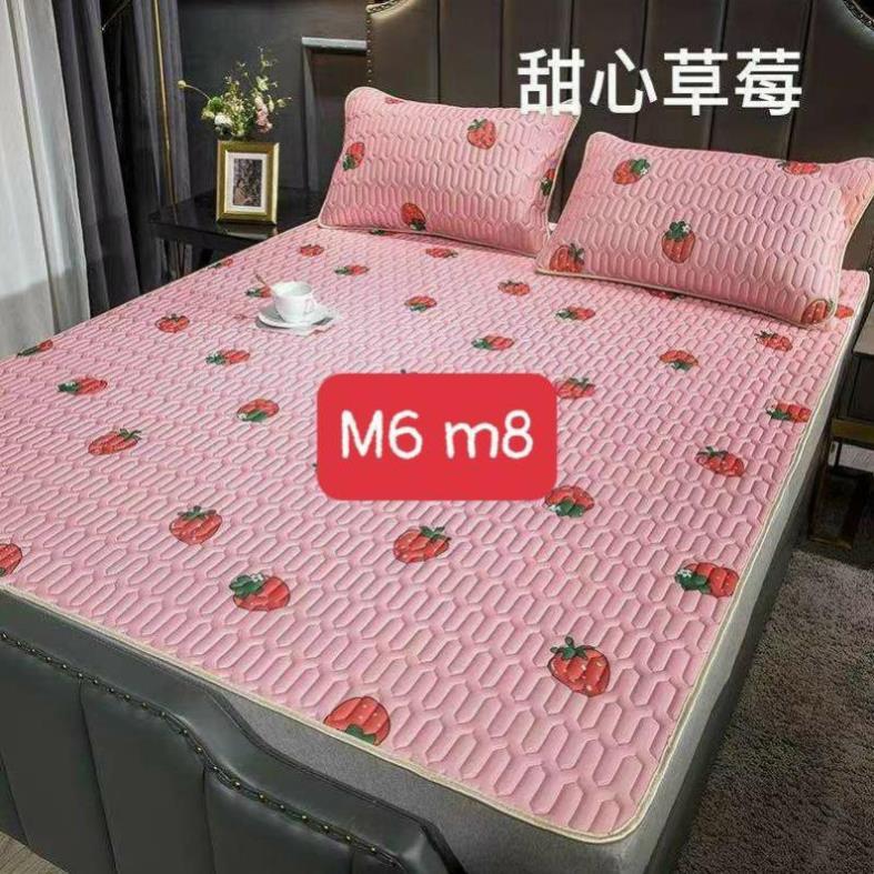 Chiếu điều hòa cao su non tencel 2D