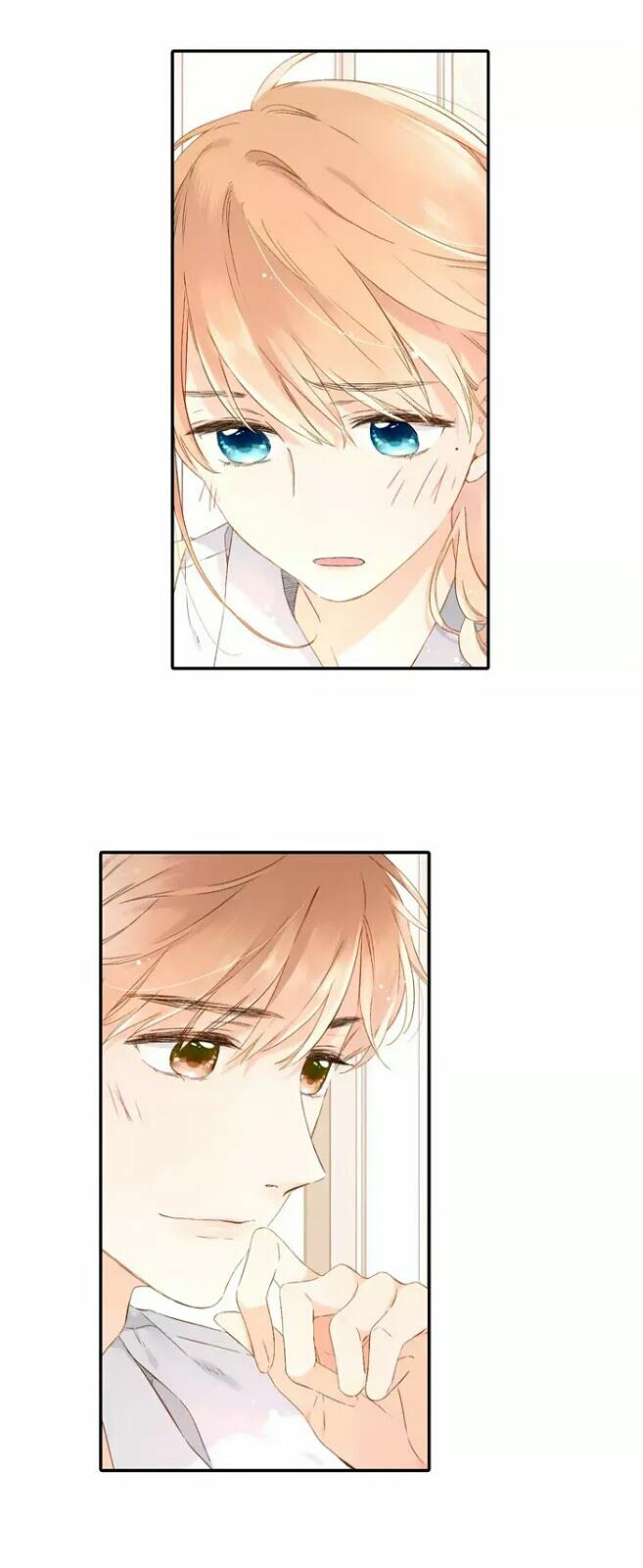 Tình yêu là màu hoa anh thảo chapter 26.2 43