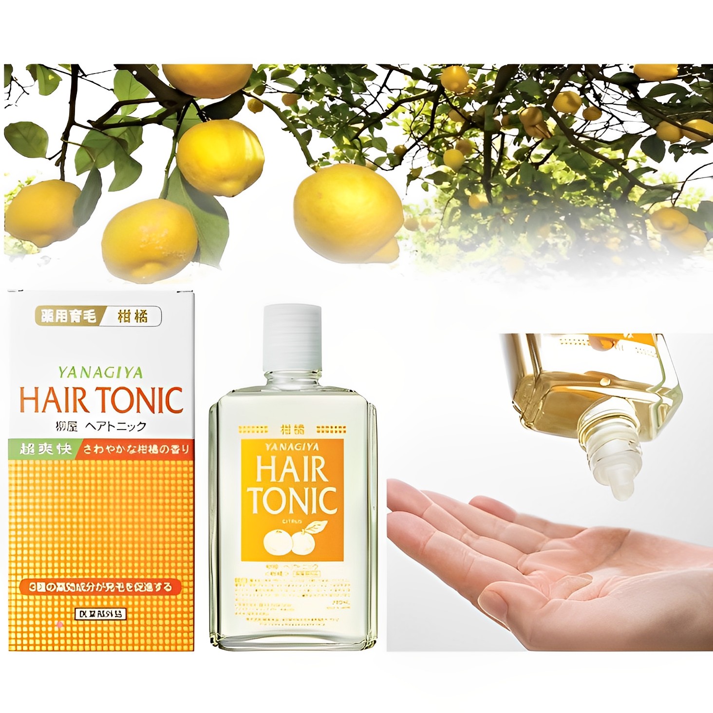  Sản phẩm dưỡng tóc Yanagiya Hair Tonic (Citrus)