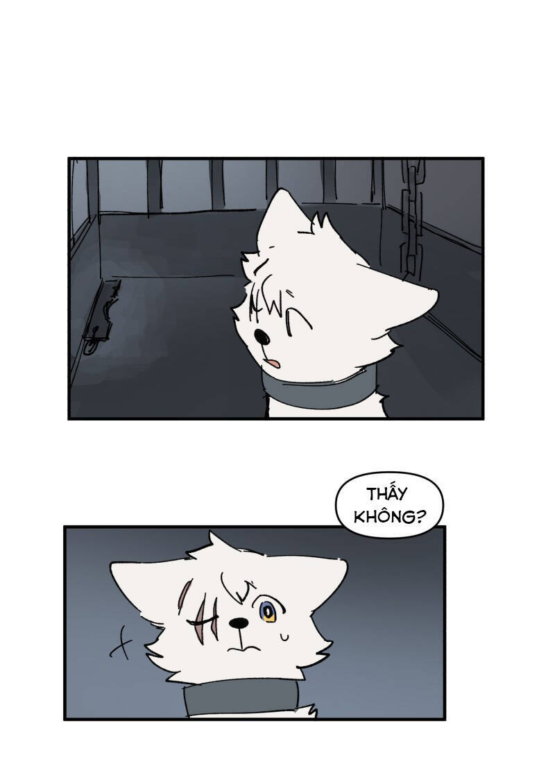 lumine - cội nguồn ánh sáng chapter 148 31