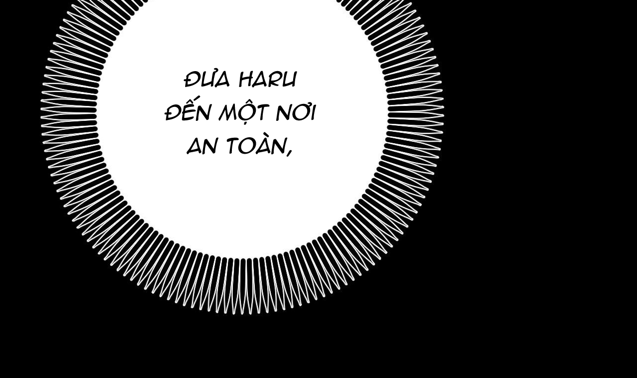 đàn thỏ của habibi chapter 45 133