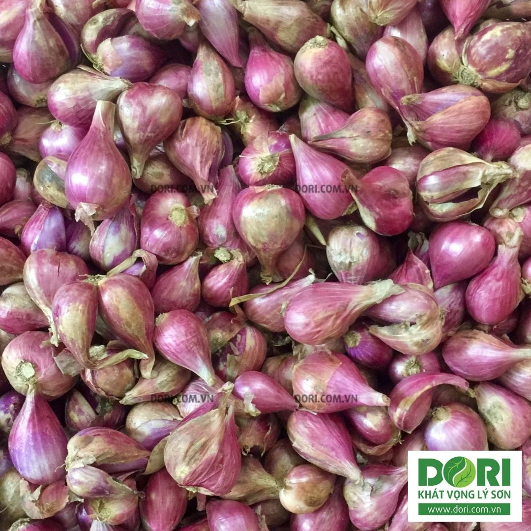 Đặc Sản Phan Rang - Hành tím khô Phan Rang - Dori Thơm - 1kg - củ to tròn rất khô và thơm