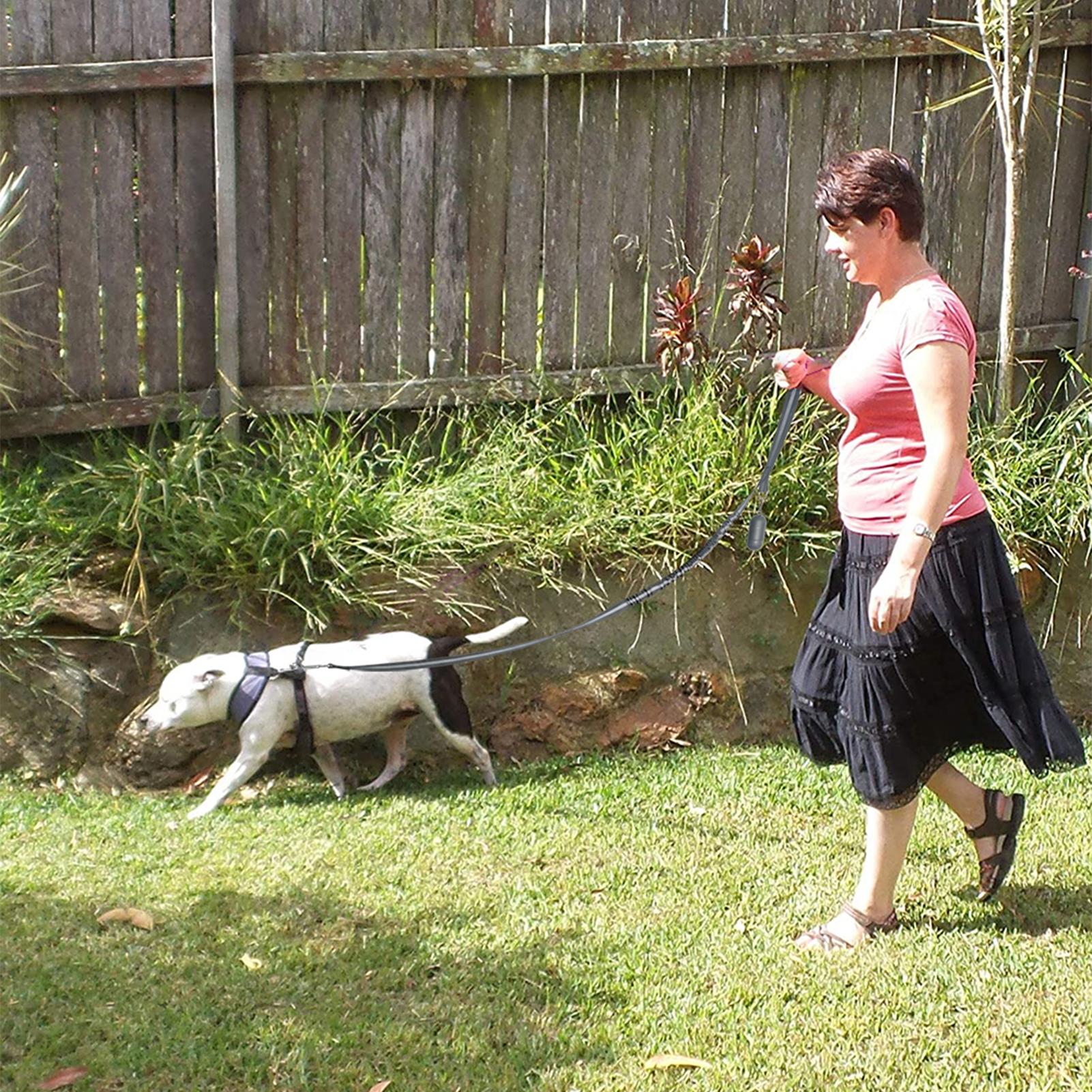 Dây xích thú cưng có phản quang có kèm theo túi đựng phân