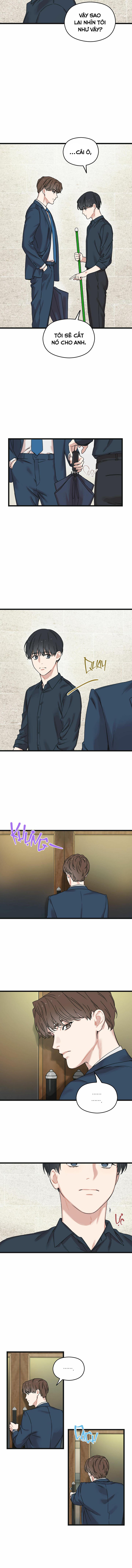 trùng phùng chapter 5 11