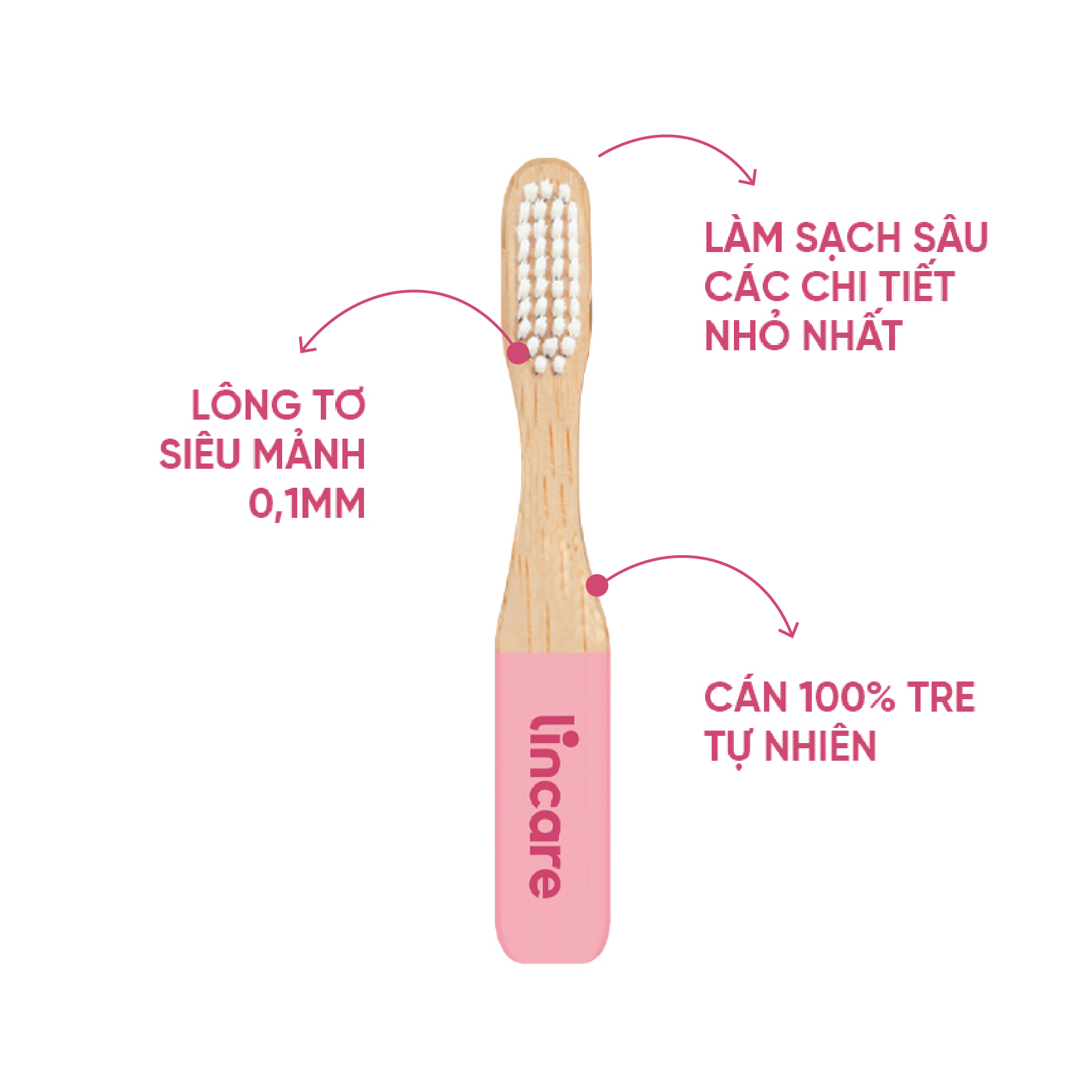 Combo Cốc nguyệt san Lincup & Bàn chải vệ sinh Lincare Brush