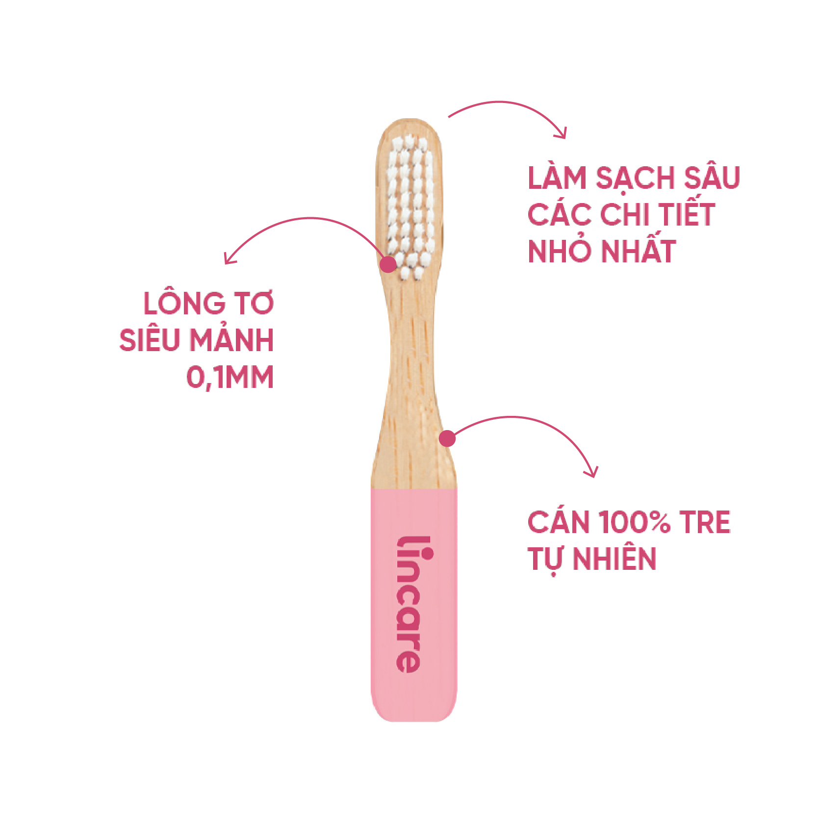 Combo Cốc nguyệt san Lincup &amp;amp; Bàn chải vệ sinh Lincare Brush