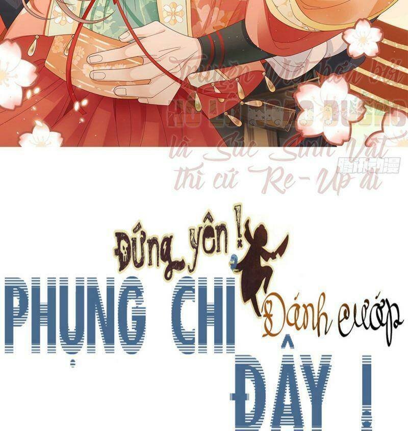đứng yên ! phụng chỉ đánh cướp đây chapter 31 2
