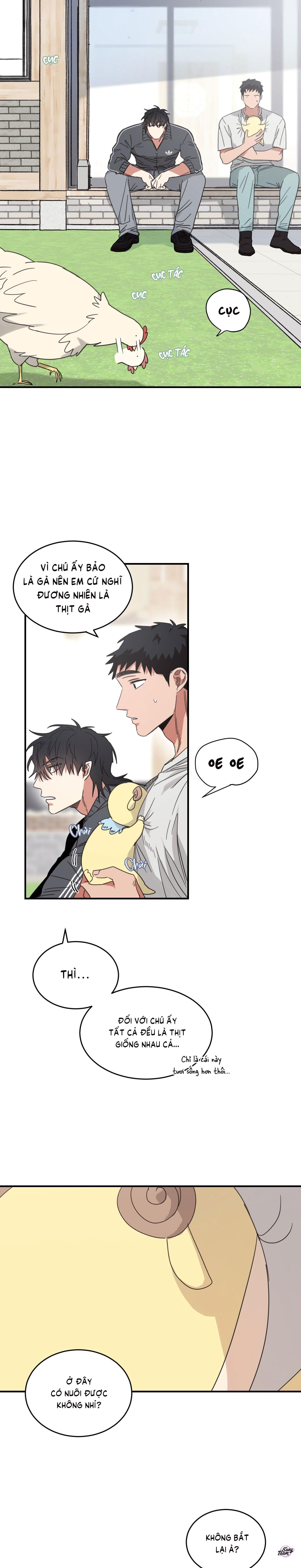 căn nhà mặt trời mọc chapter 19 2