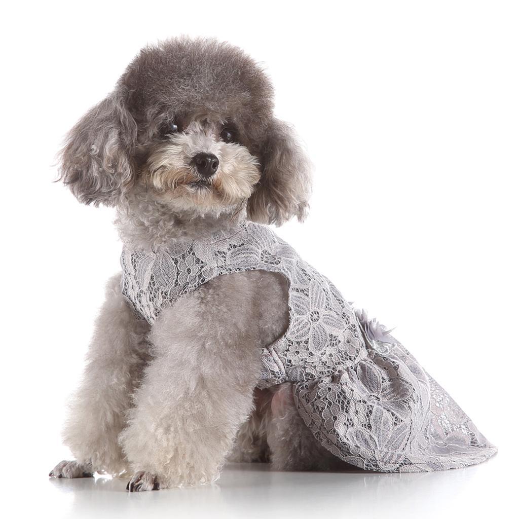 Cute Lovely Dog Puppy Summer Dress Pet Princess Dress For Small Dog Puppy XS