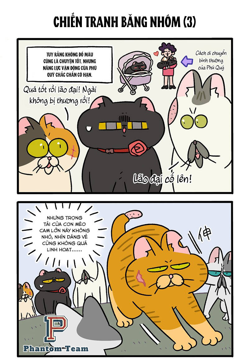 a mãn và mạch trà chapter 43 5