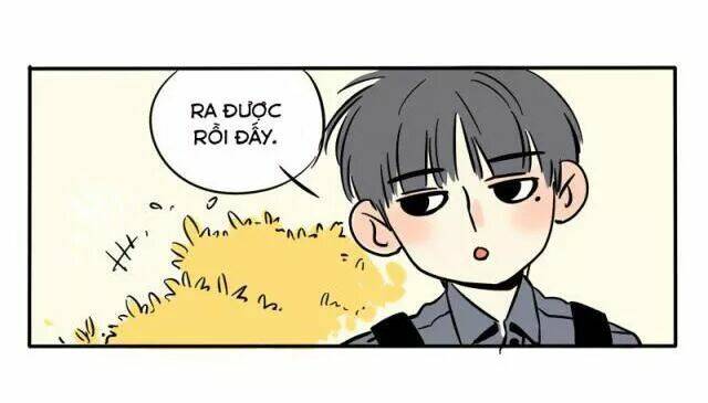 mau mang anh trai tôi đi chapter 71 7