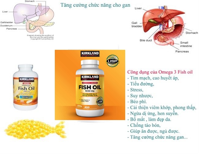 Omega 3 Fish oil Kirkland Hỗ trợ sức khỏe não bộ, Tim mạch, Khớp, Bổ mắt, Và tăng sức khỏe tổng thể - QuaTangMe Extaste