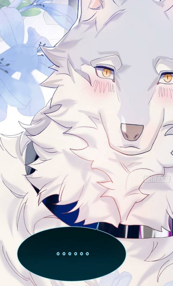 bạn trai biến dị của tôi!!! chapter 2 41