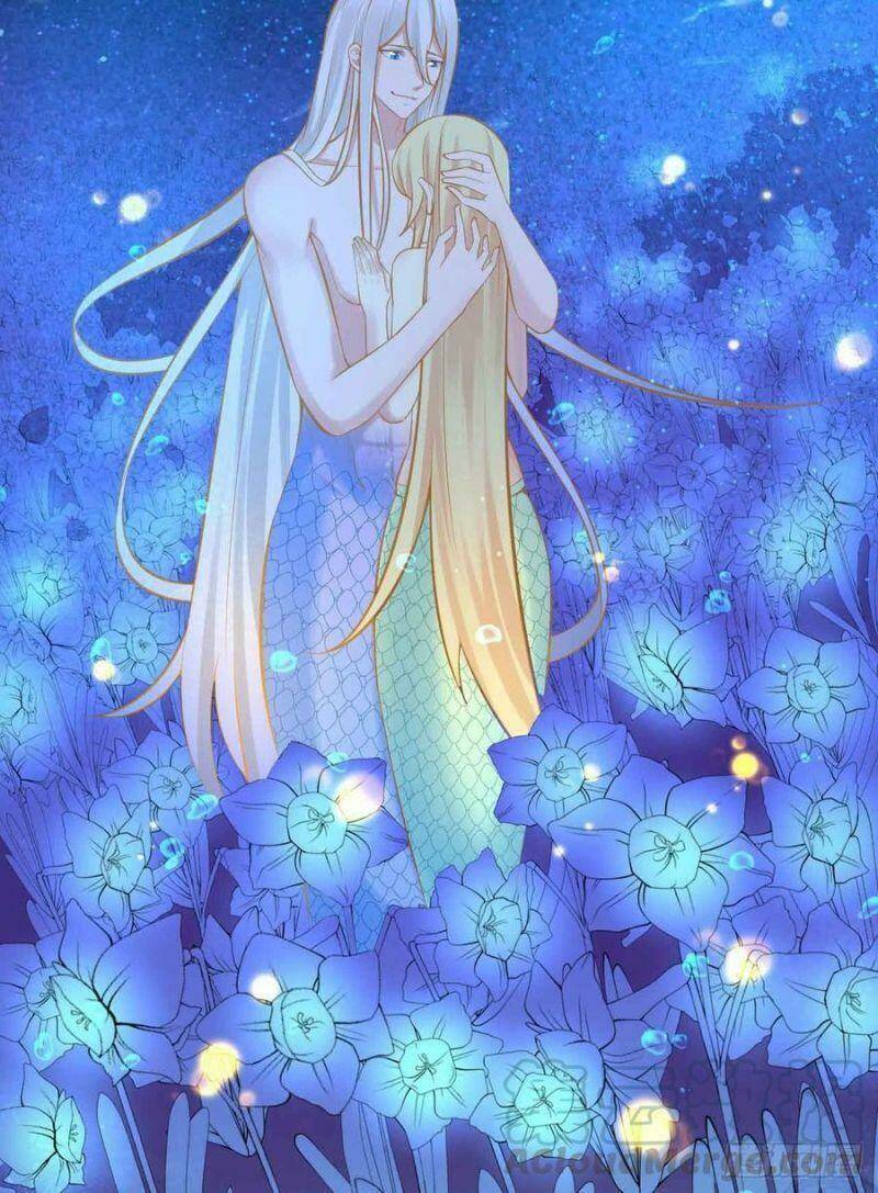 nhân ngư học trưởng, đừng ôm ta! chapter 85 42