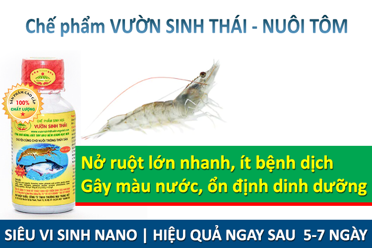 Kết quả hình ảnh cho vuon sinh thai nuoi tom