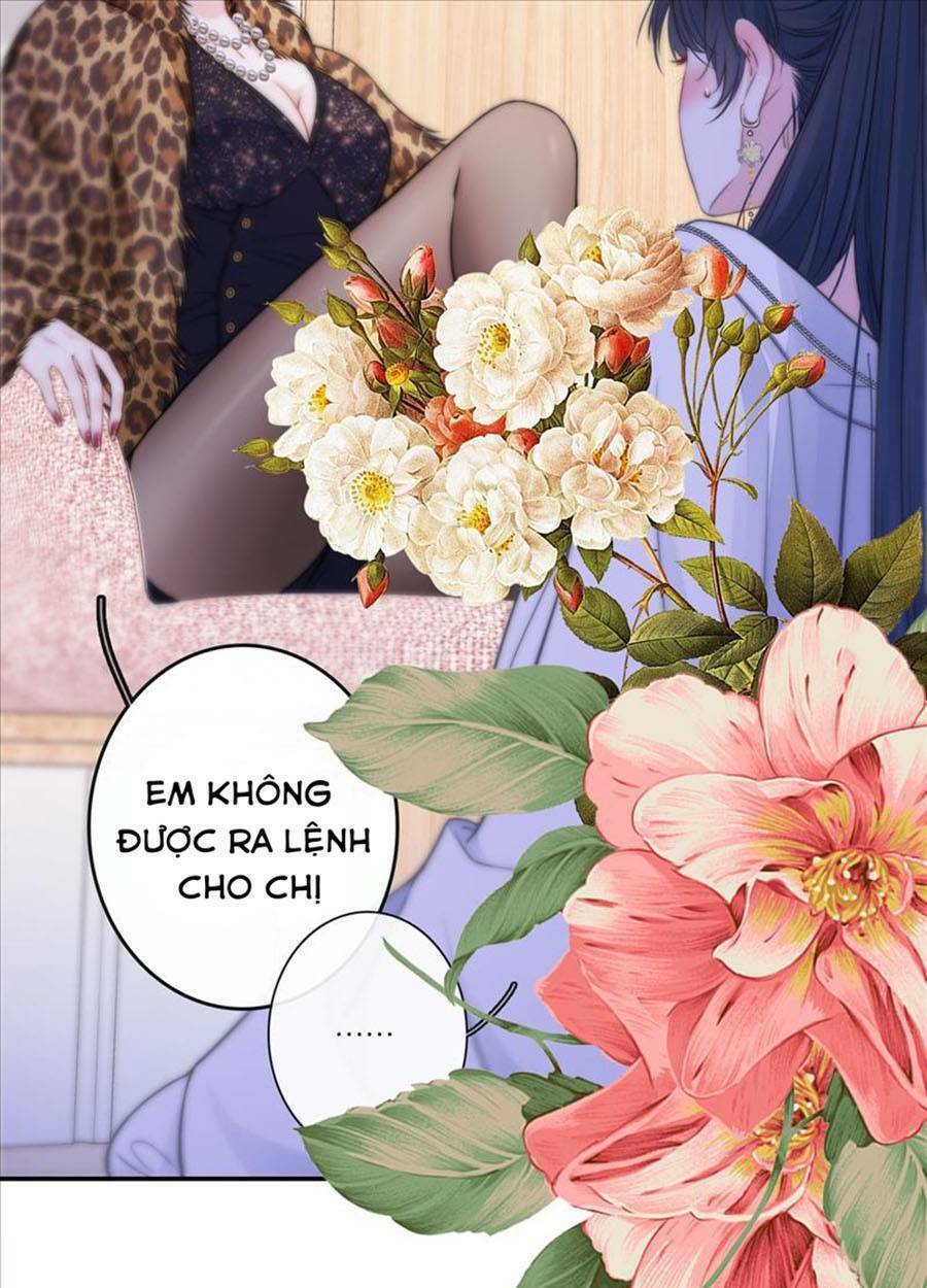 kim ốc tàng kiều chapter 45 47