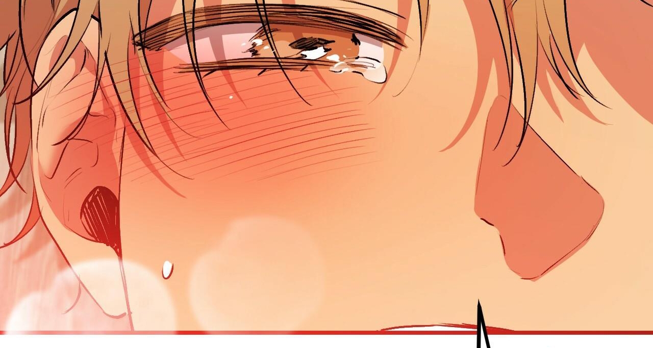 đàn thỏ của habibi chapter 43 153