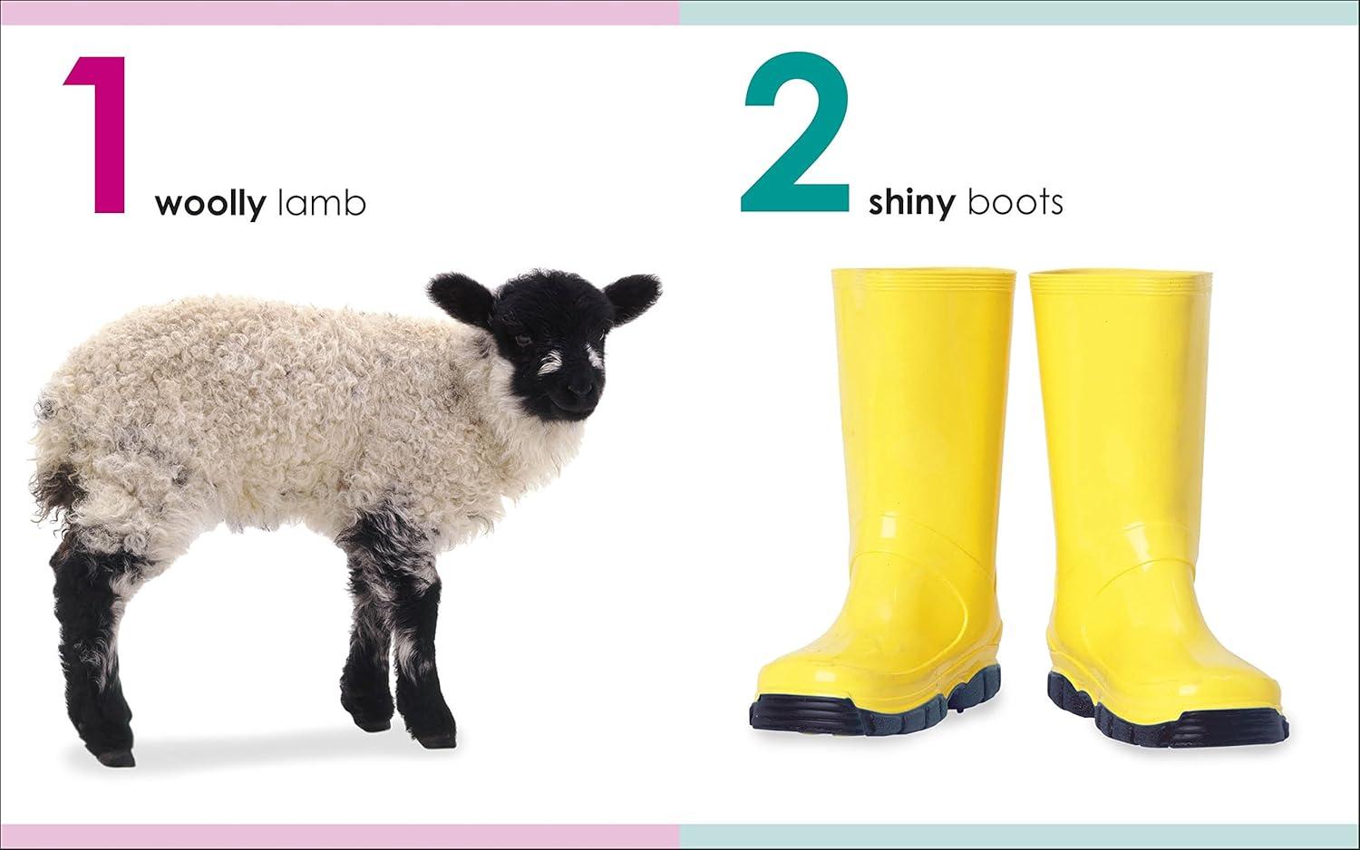 Sách ngoại văn: My First 123