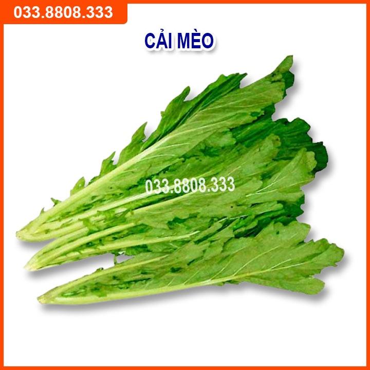 Bộ 5 Loại Hạt Giống Rau Cải Bất Kỳ - Rau Trồng Chậu Nhanh Thu Hoạch