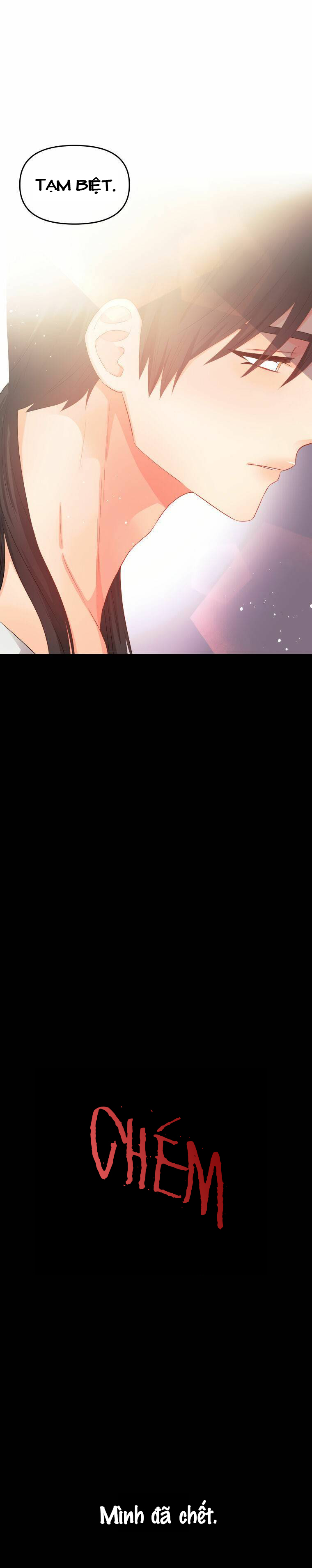 xin đừng trao tấm lòng vào cuốn sách ấy chapter 12 11