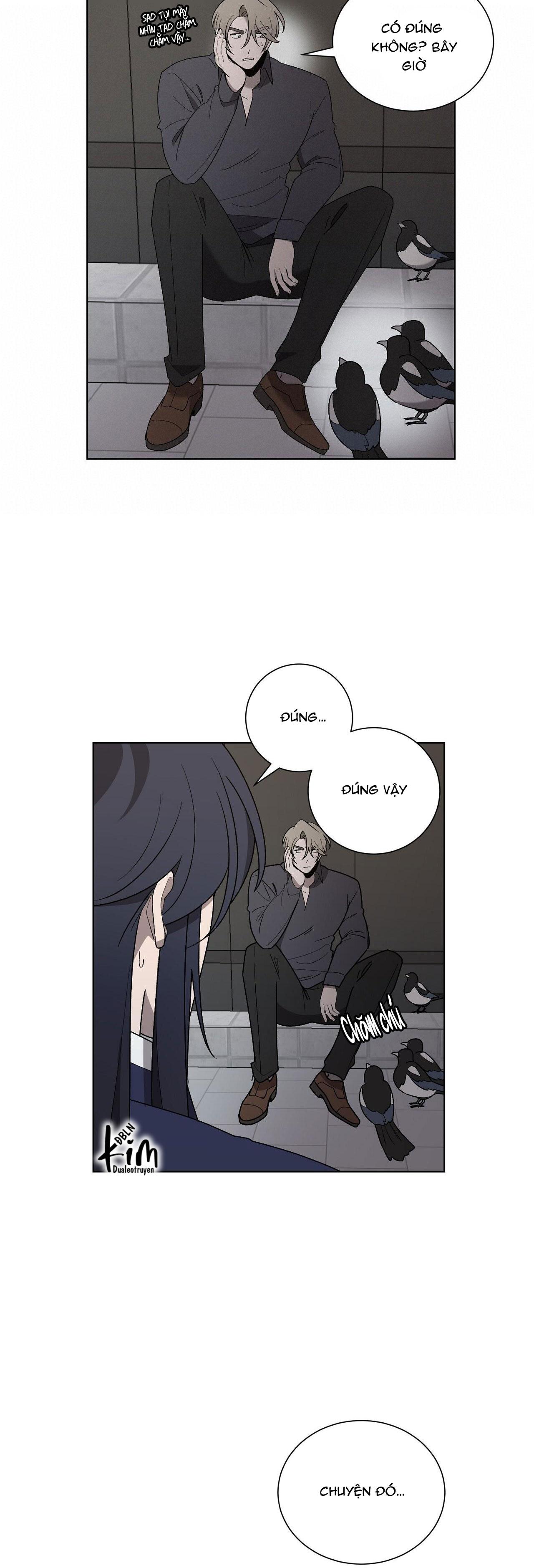 khi chim thước đến chapter 10 14