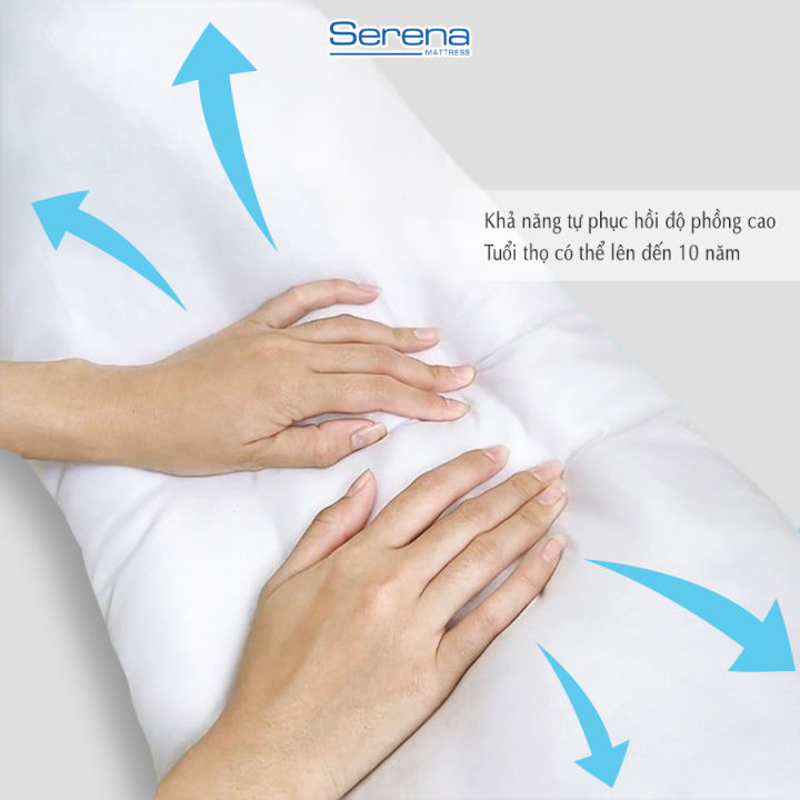 Ruột Gối Ôm Lông Vũ SERENA Cao Cấp - Cái Ruột Gối Đôi Ôm Dài Nằm Ngủ Lông Vũ 35 x 100 Khách Sạn 5 Sao Cao Cấp
