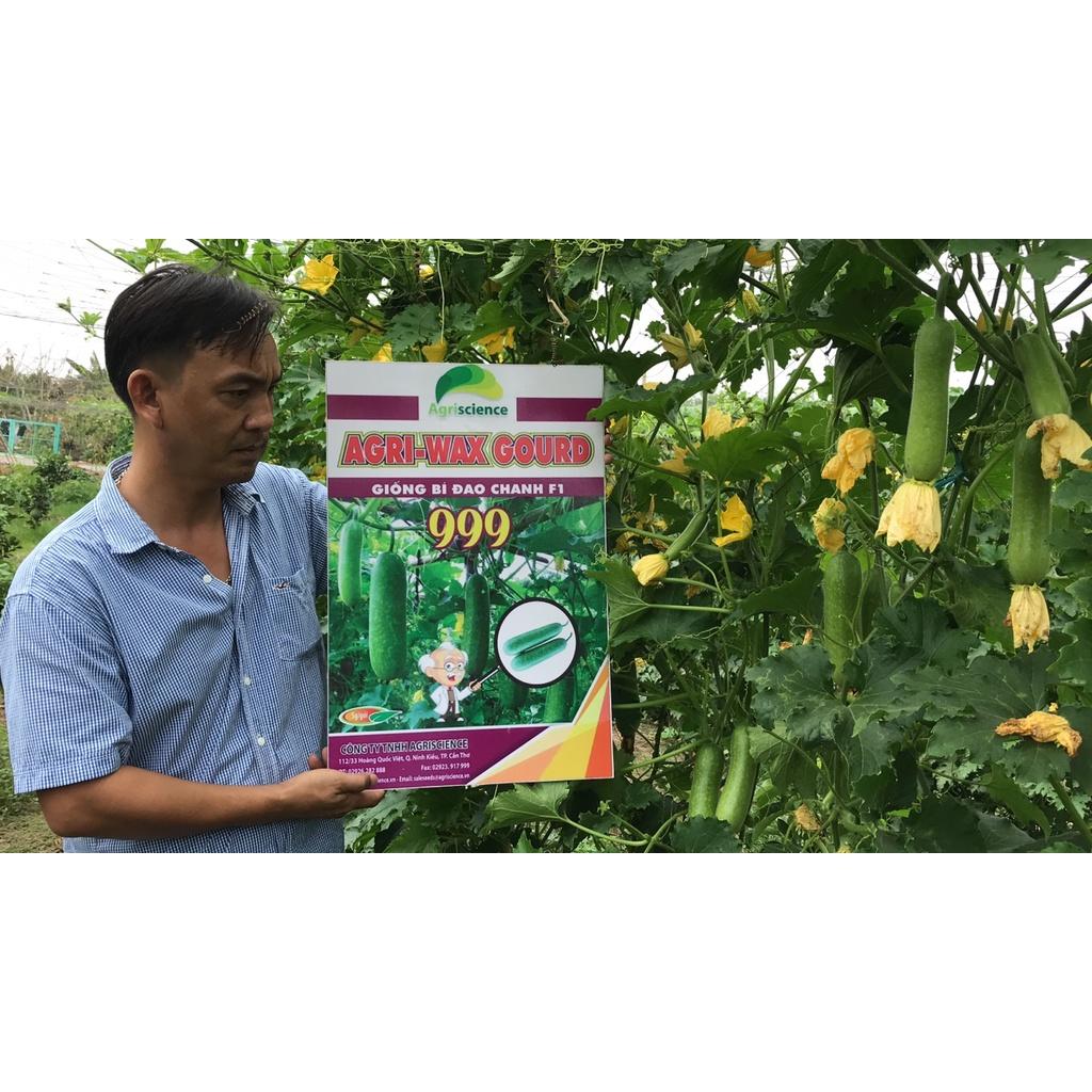 Hạt Giống bí đao chanh lai F1 - Agri Wax Gourd 999
