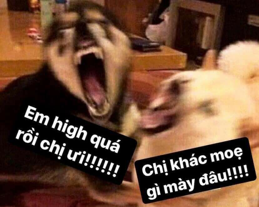 nguyên tắc mối quan hệ chapter 17 23