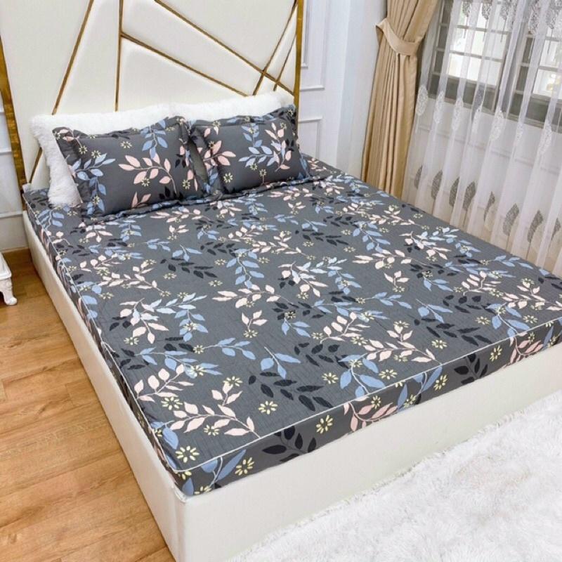 Bộ ga gối chun trần 1m6x2m/ 1m8x2m