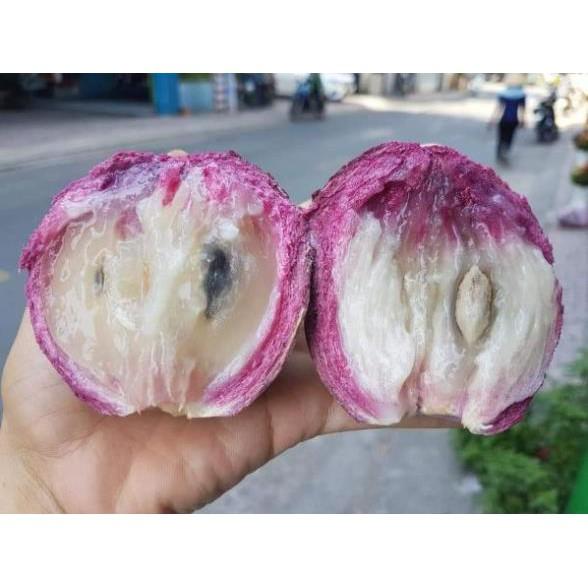 Cây Vú Sữa tím... 8 tháng cây cho trái