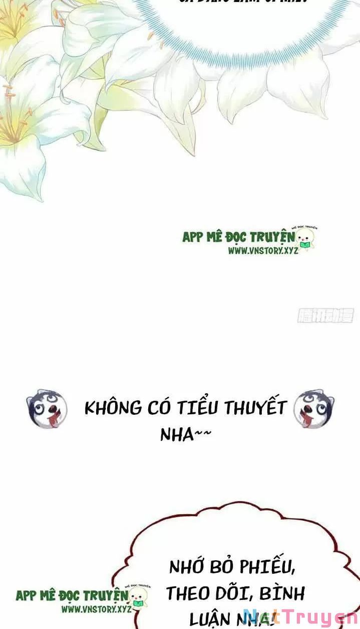 lại bị bệnh chiều chuộng quấn lấy chapter 11 47