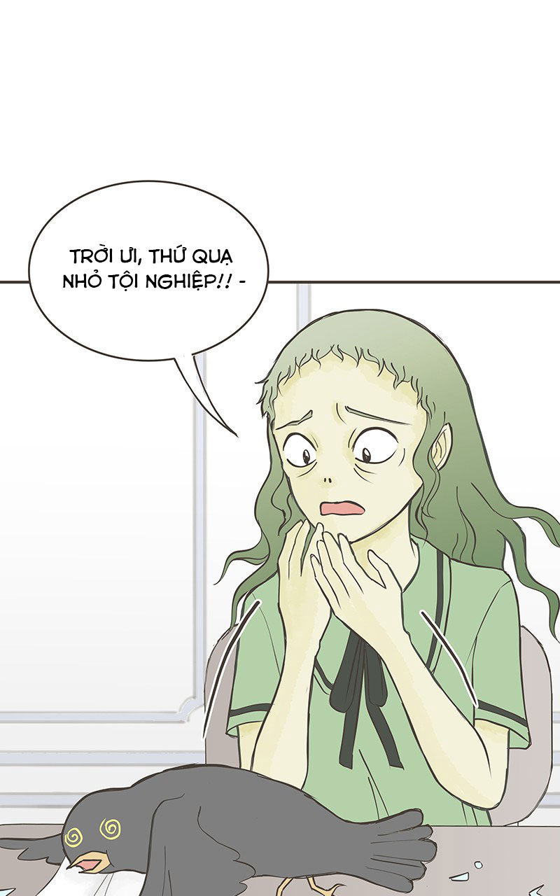 những nàng công chúa bị nguyền rủa chapter 17 29