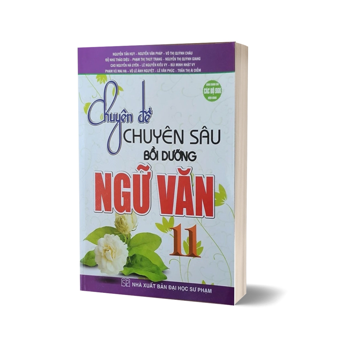 Chuyên Đề Chuyên Sâu Bồi Dưỡng Ngữ Văn 11