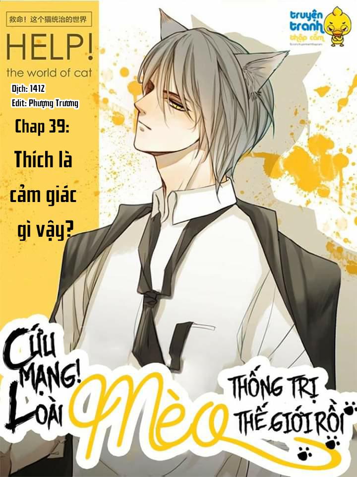 cứu mạng ! loài mèo thống trị thế giới rồi ! chapter 39 1