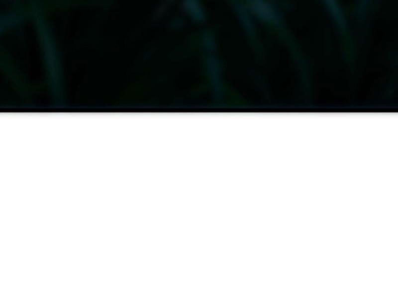 huyền huyễn: ta bắt đầu vô địch từ bại gia chapter 91 27