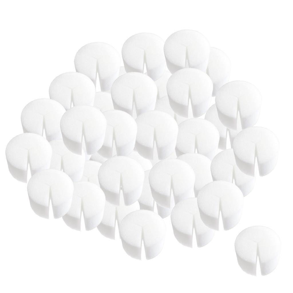 Set 50 Mút Tẩm Nước Trồng Cây Không Cần Đất