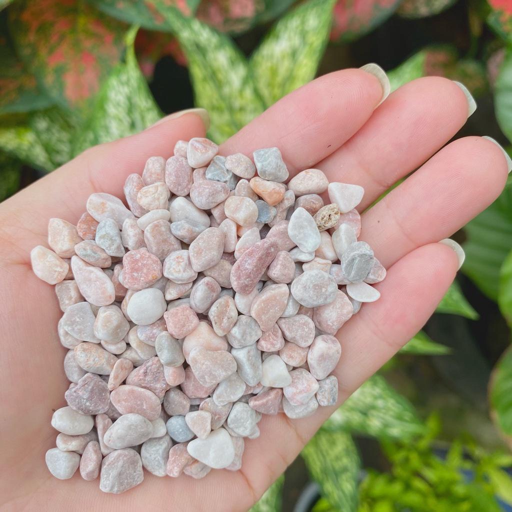 Sỏi màu rải chậu cây để bàn bịch chiết 1kg