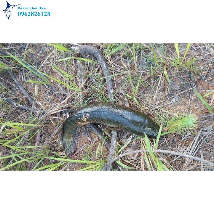 Túi đựng cá túi đựng cá 1m4