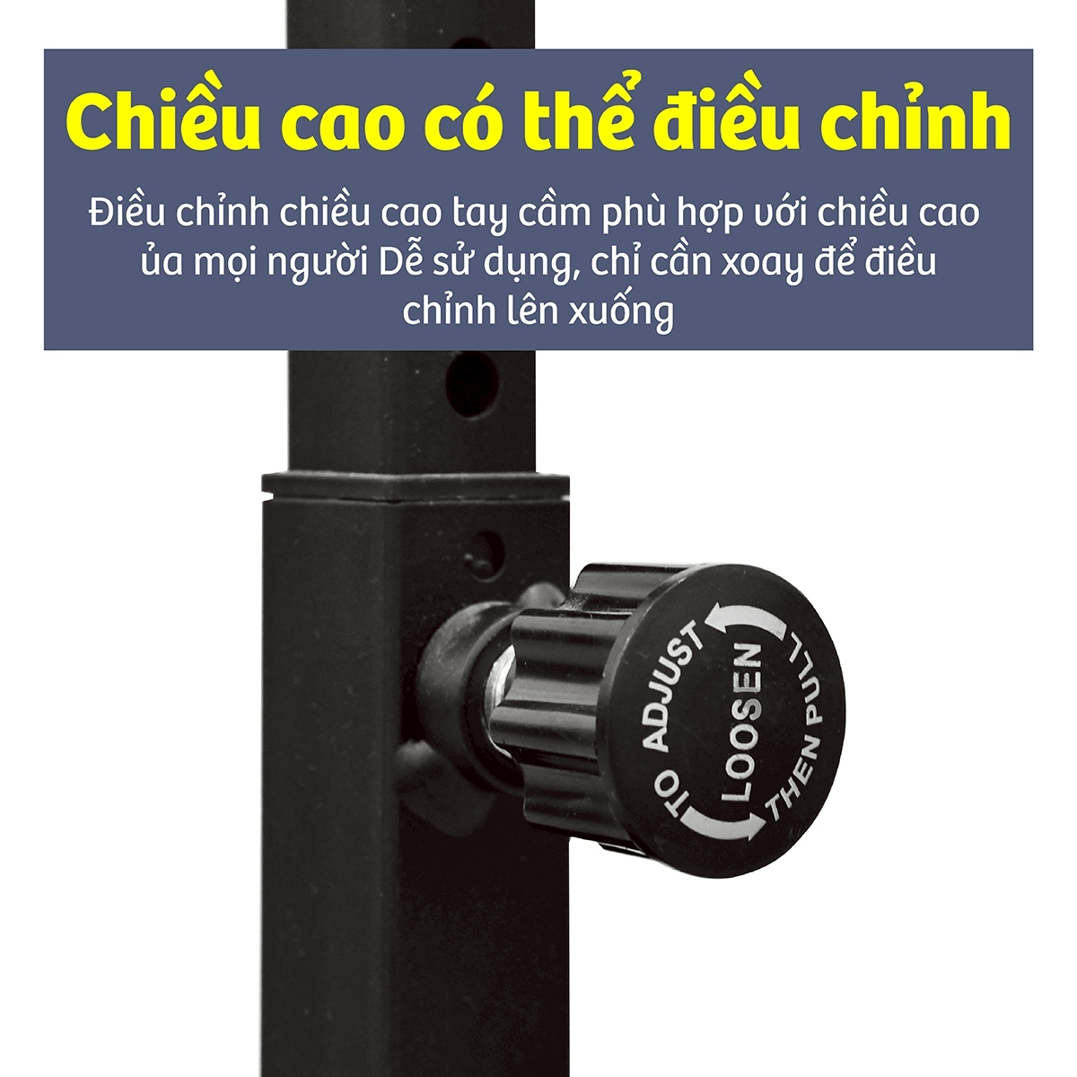 Máy tập thể dục toàn thân BG Twister &amp; Shape SP718 Balance SP722 (hàng nhập khẩu)